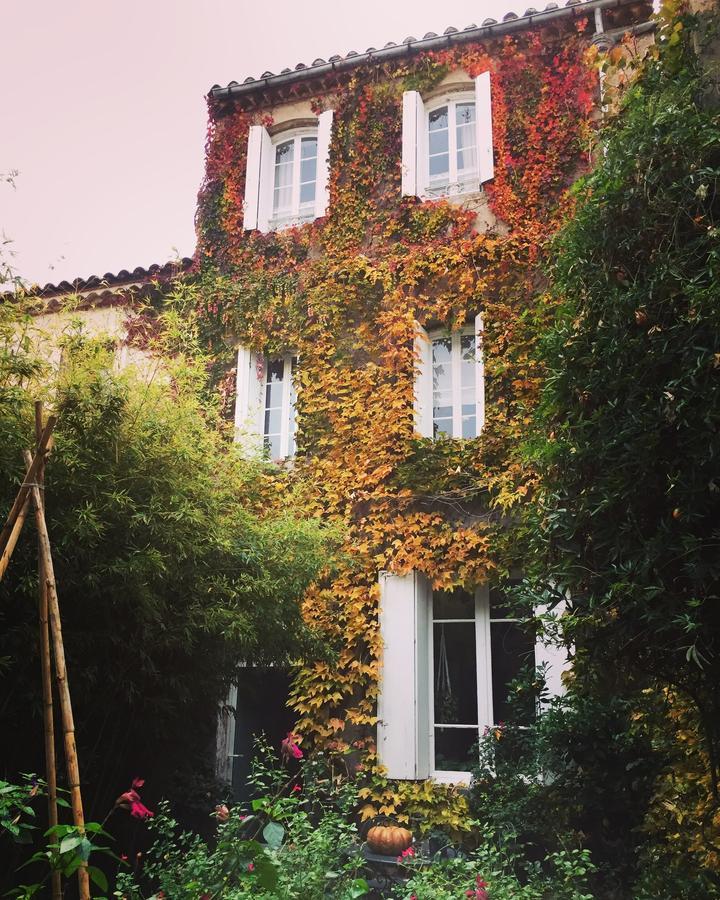 Le Logis Blanc Bed&Breakfast Coursan Exterior photo